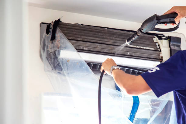 Best Air Duct Mold Removal  in West Blocton, AL